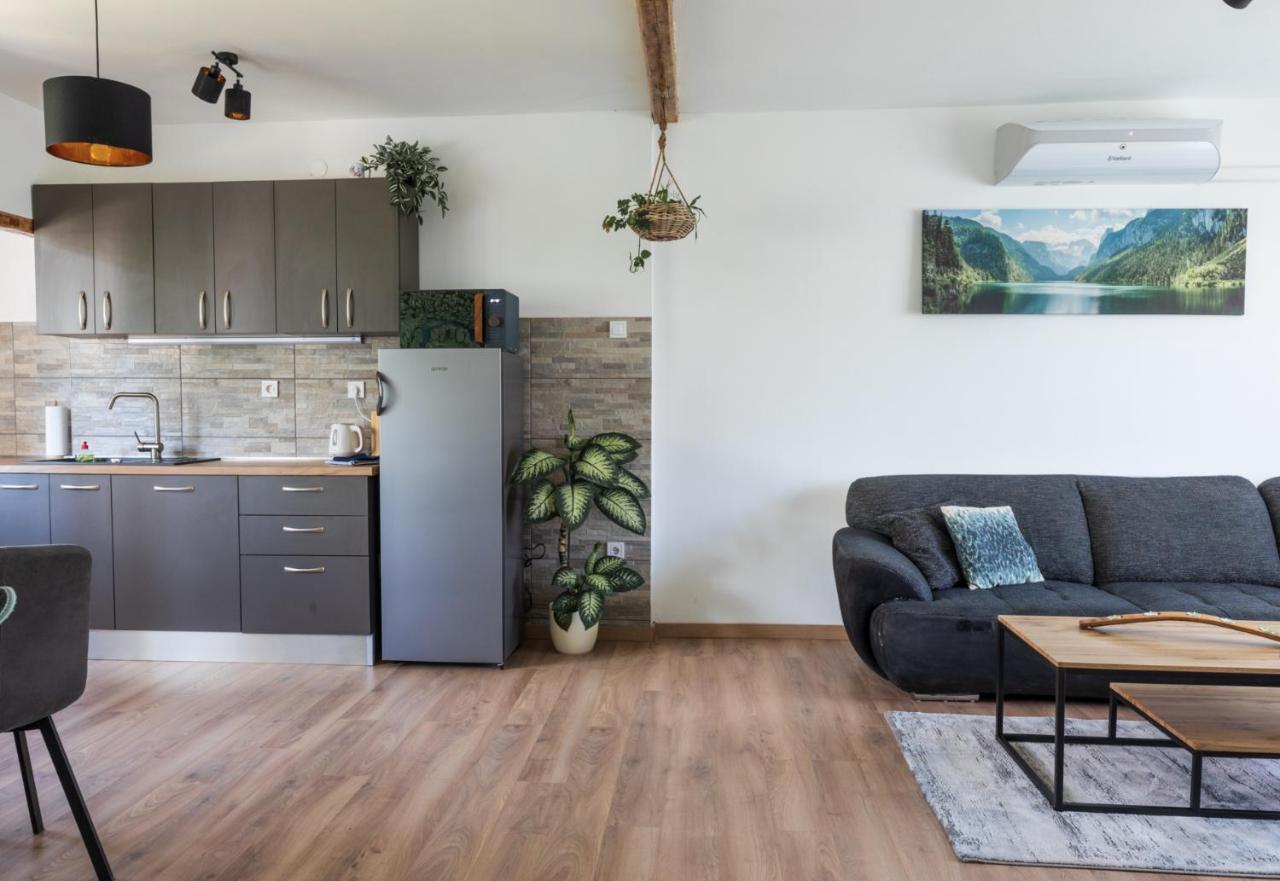 Lynx And Fox Self Check-In Free Parking Apartment デルニツェ エクステリア 写真