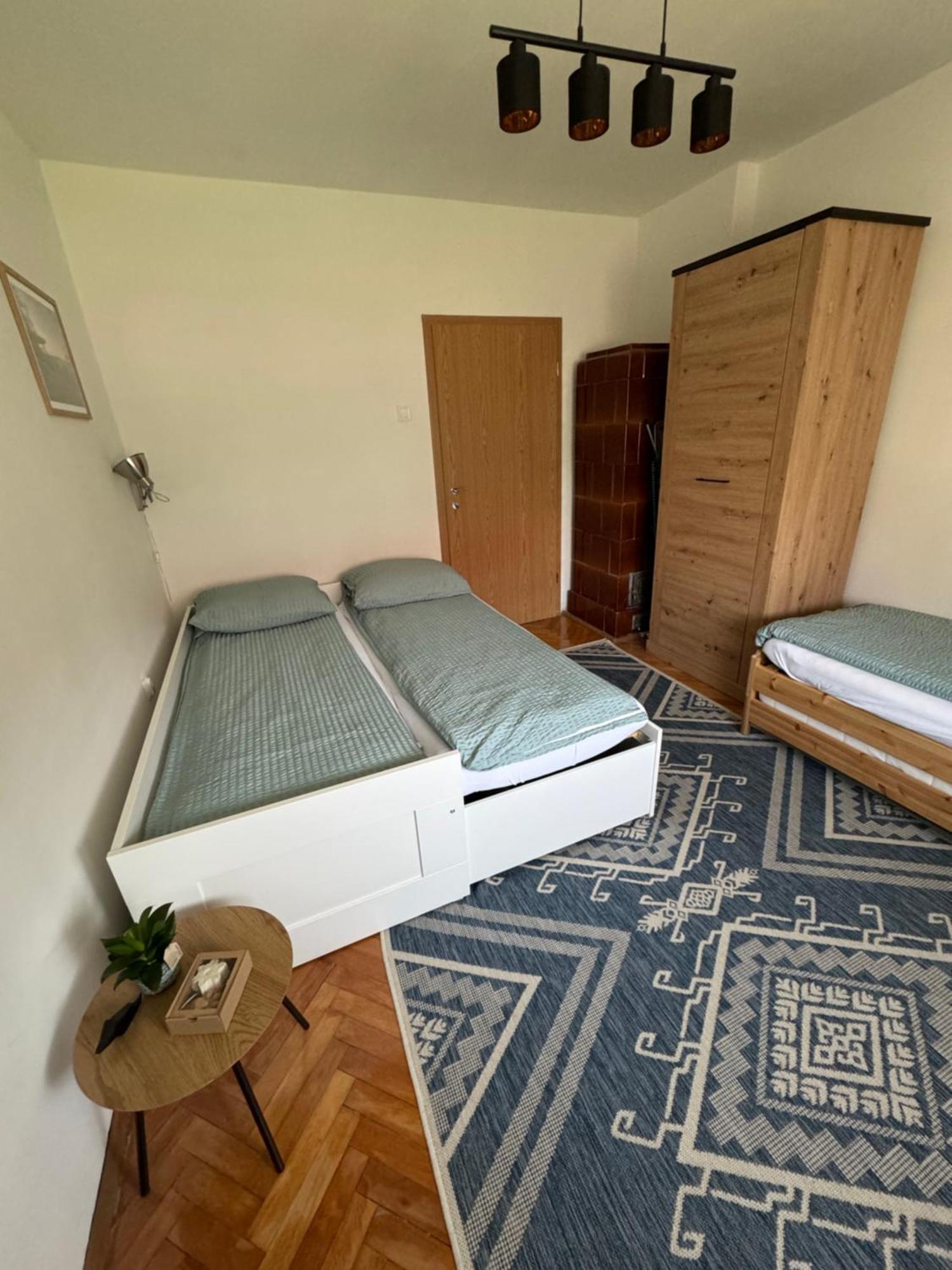 Lynx And Fox Self Check-In Free Parking Apartment デルニツェ エクステリア 写真